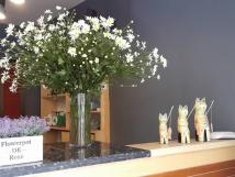 Cho thuê nhà mặt phố Nguyễn Đình Chiểu, DT 45m2 X 3 tầng Cho thuê nhà mặt phố Nguyễn Đình Chiểu, DT 45m2 X 3 tầng