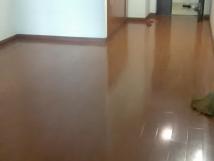 Chính chủ cho thuê chung cư N06b1 Khu ĐTM Dịch Vọng – 8 triệu/th Chính chủ cho thuê chung cư N06b1 Khu ĐTM Dịch Vọng – 8 triệu/th