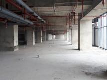 Cho thuê văn phòng, kiốt, sàn thương mại tòa nhà New SKyline Hồ Văn Quán, LH 0968595532 Cho thuê văn phòng, kiốt, sàn thương mại tòa nhà New SKyline Hồ Văn Quán, LH 0968595532