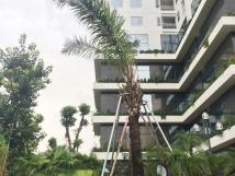 Cho thuê văn phòng tòa Ecolife Capitol, Lê Văn Lương, 100m2, 160m2, 230m2, 500m2, 800m2 Cho thuê văn phòng tòa Ecolife Capitol, Lê Văn Lương, 100m2, 160m2, 230m2, 500m2, 800m2