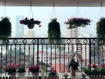 Chính chủ cho thuê căn hộ cao cấp tại chung cư Sky City - 88 Láng Hạ, 112m2, 2PN, giá 16 tr/th Chính chủ cho thuê căn hộ cao cấp tại chung cư Sky City - 88 Láng Hạ, 112m2, 2PN, giá 16 tr/th