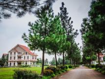 Khu Đô Thị The Phoenix Garden Giá Trị Tích Lũy Tầm Nhìn Năm 2025 Biệt Thự 6 Tỷ Tiện Ích 5 Sao Khu Đô Thị The Phoenix Garden Giá Trị Tích Lũy Tầm Nhìn Năm 2025 Biệt Thự 6 Tỷ Tiện Ích 5 Sao