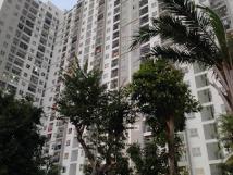 Cho thuê kiot trước tết tại Long Biên Cho thuê kiot trước tết tại Long Biên