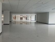 Văn phòng cho thuê tại Nguyễn Tuân, giá 12-15$/m2 diện tích 100-350-1000m2, L/h: 0931753628 Văn phòng cho thuê tại Nguyễn Tuân, giá 12-15$/m2 diện tích 100-350-1000m2, L/h: 0931753628