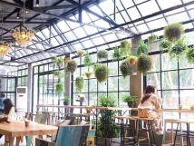 Nóng! Sang nhượng đầu Hè quán Trà Sữa, Cafe đẹp nhất Học viện Nông Nghiệp VN. Nóng! Sang nhượng đầu Hè quán Trà Sữa, Cafe đẹp nhất Học viện Nông Nghiệp VN.