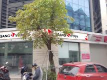 Cho thuê nhà biệt thự lô góc Nguyễn Cơ Thạch - Hàm Nghi - Mỹ Đình.
164m2 x 3,5 tầng. làm văn phòng nhà trẻ giá cưc hơp lý Cho thuê nhà biệt thự lô góc Nguyễn Cơ Thạch - Hàm Nghi - Mỹ Đình.
164m2 x 3,5 tầng. làm văn phòng nhà trẻ giá cưc hơp lý