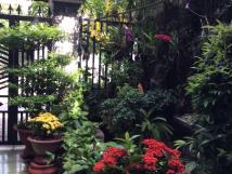 Nắm chính chủ cần bán căn nhà phường an phú, thị xã thuận an, bình dương Nắm chính chủ cần bán căn nhà phường an phú, thị xã thuận an, bình dương