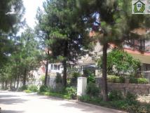Tư vấn mua bán biệt thự dự án Sunny Garden City Quốc Oai Tư vấn mua bán biệt thự dự án Sunny Garden City Quốc Oai