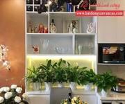 Cho thuê nhà riêng tại Đường Anh Đào 1-9, Phường Việt Hưng, Long Biên, Hà Nội diện tích 350m2 Cho thuê nhà riêng tại Đường Anh Đào 1-9, Phường Việt Hưng, Long Biên, Hà Nội diện tích 350m2