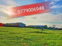 Đất vàng trung tâm kinh tế tx.phú mỹ , cách quốc lộ 51 4km giá chỉ 1tr250/m2 Đất vàng trung tâm kinh tế tx.phú mỹ , cách quốc lộ 51 4km giá chỉ 1tr250/m2