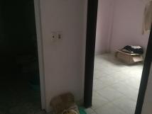 Cho thuê nhà riêng Nguyễn Văn Cừ Long Biên HN Cho thuê nhà riêng Nguyễn Văn Cừ Long Biên HN