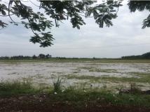 CẦN CHUYỂN NHƯỢNG GẤP CÁC DỰ ÁN TẠI QUẢNG NINH VÀ HẢI PHÒNG CẦN CHUYỂN NHƯỢNG GẤP CÁC DỰ ÁN TẠI QUẢNG NINH VÀ HẢI PHÒNG