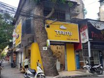 Sang nhượng cửa hàng ở đường Phạm Ngọc Thạch, Đống Đa, Hà Nội Sang nhượng cửa hàng ở đường Phạm Ngọc Thạch, Đống Đa, Hà Nội