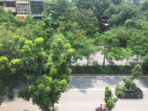Chính chủ cần cho thuê căn hộ tập thể tại: Phường Thành Công - Ba Đình - Hà Nội Chính chủ cần cho thuê căn hộ tập thể tại: Phường Thành Công - Ba Đình - Hà Nội